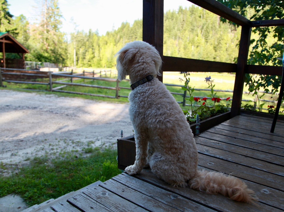 Owlhead Creek Bed &Breakfast主图