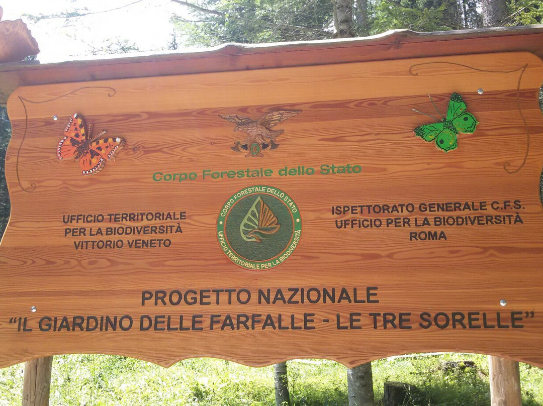 Riserva Naturale Orientata Somadida-奥龙佐迪卡多雷必去景点