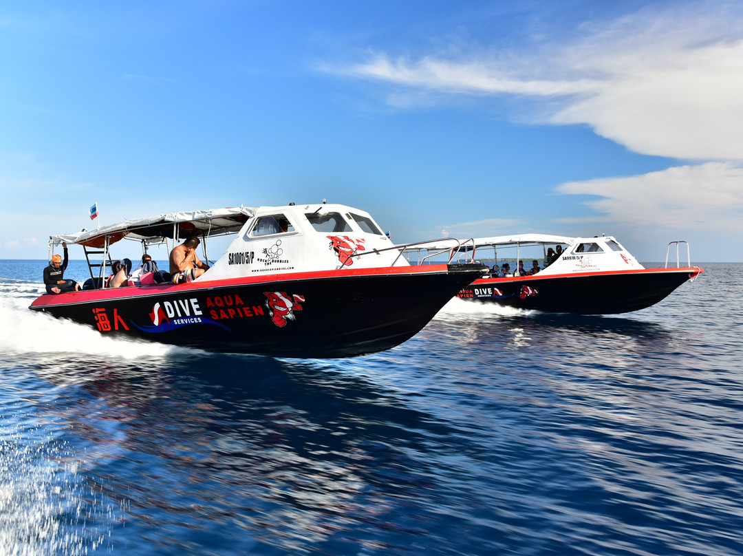 Aqua Sapien Dive Services-仙本那必去景点