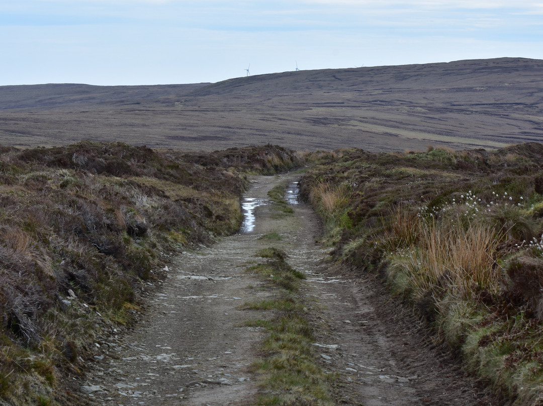 RSPB Birsay Moors景点图片