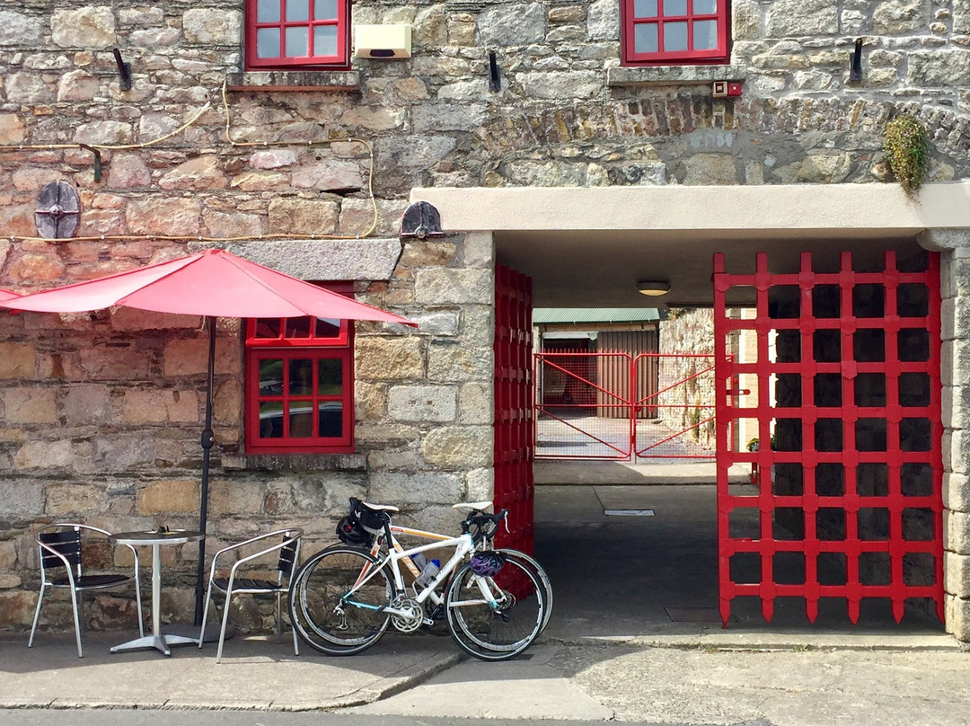 Viking Bike Hire-沃特福德必去景点