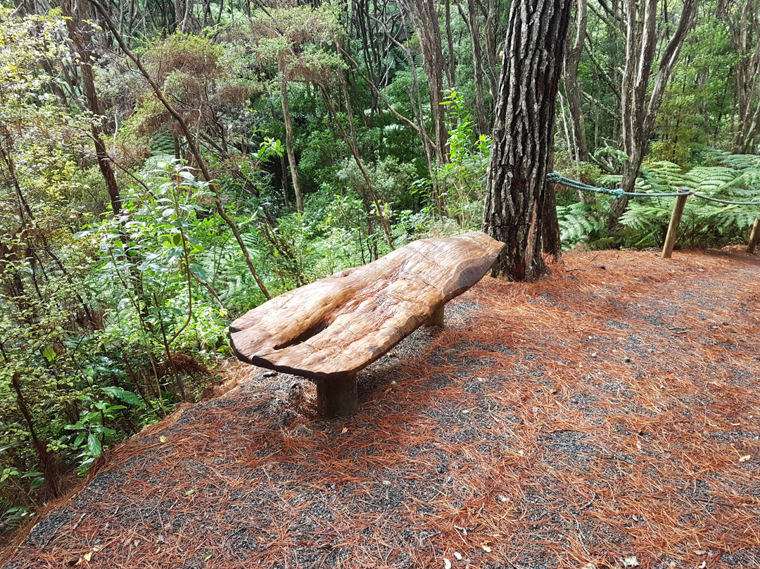 Warblers Retreat主图