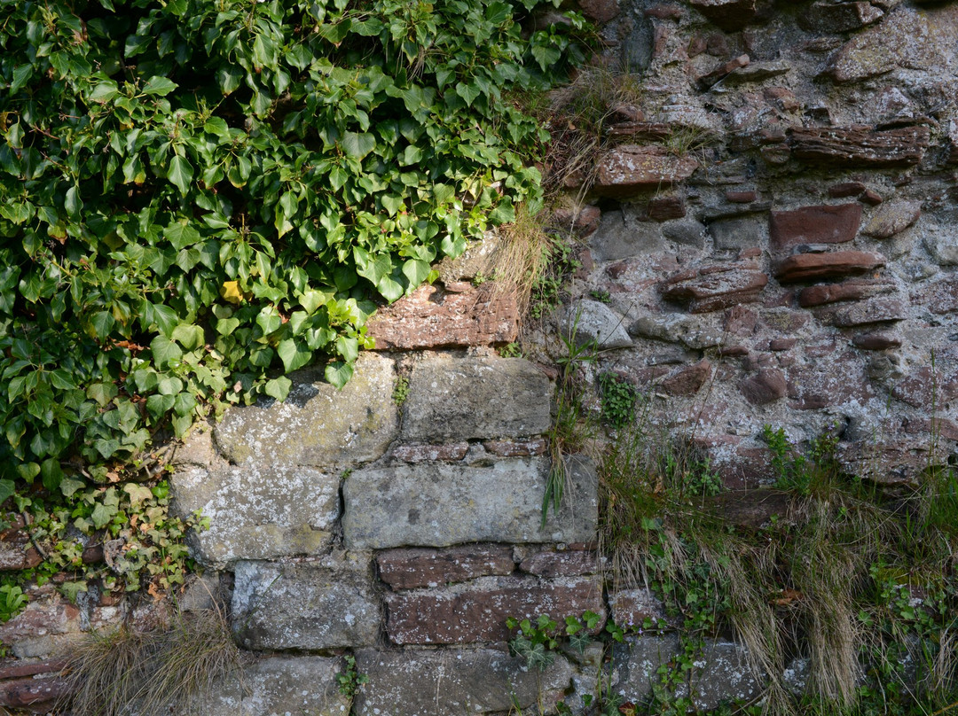 Lindores Abbey Ruins-Newburgh必去景点