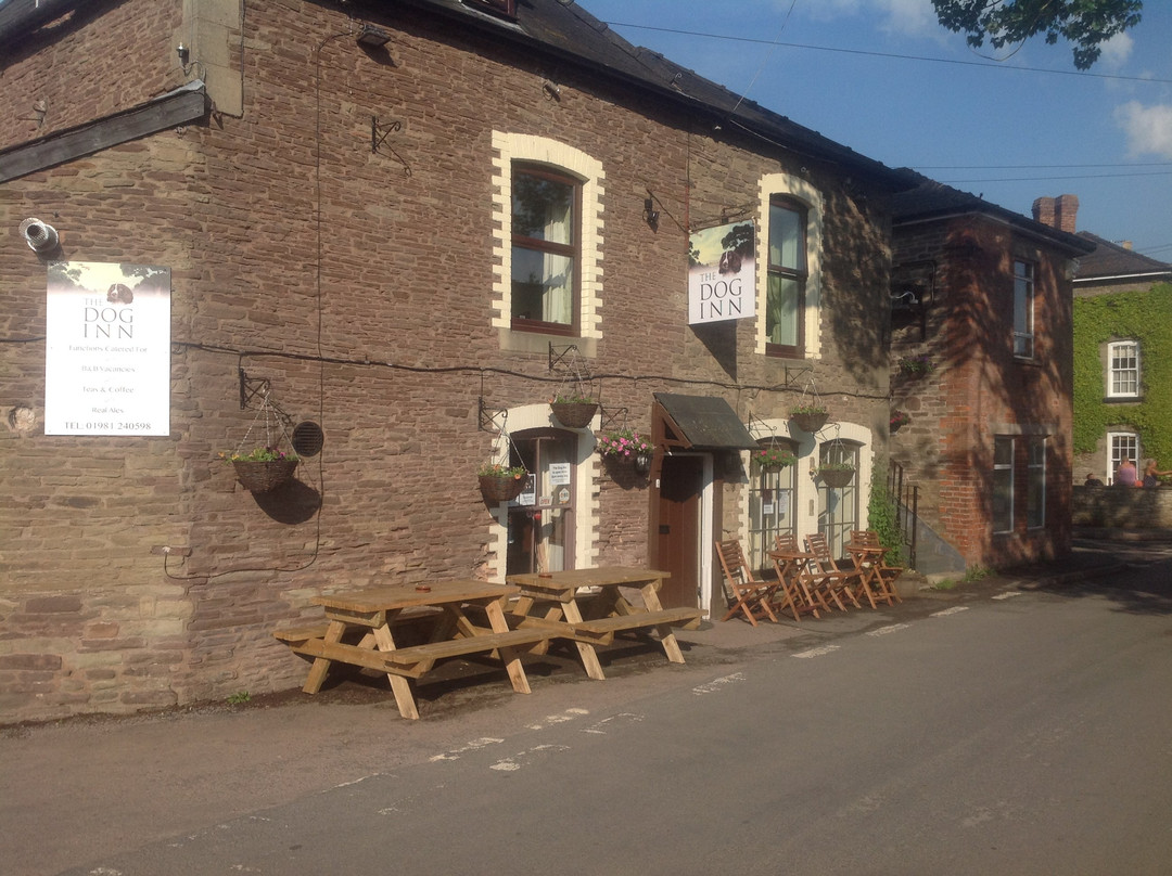 The Dog Inn