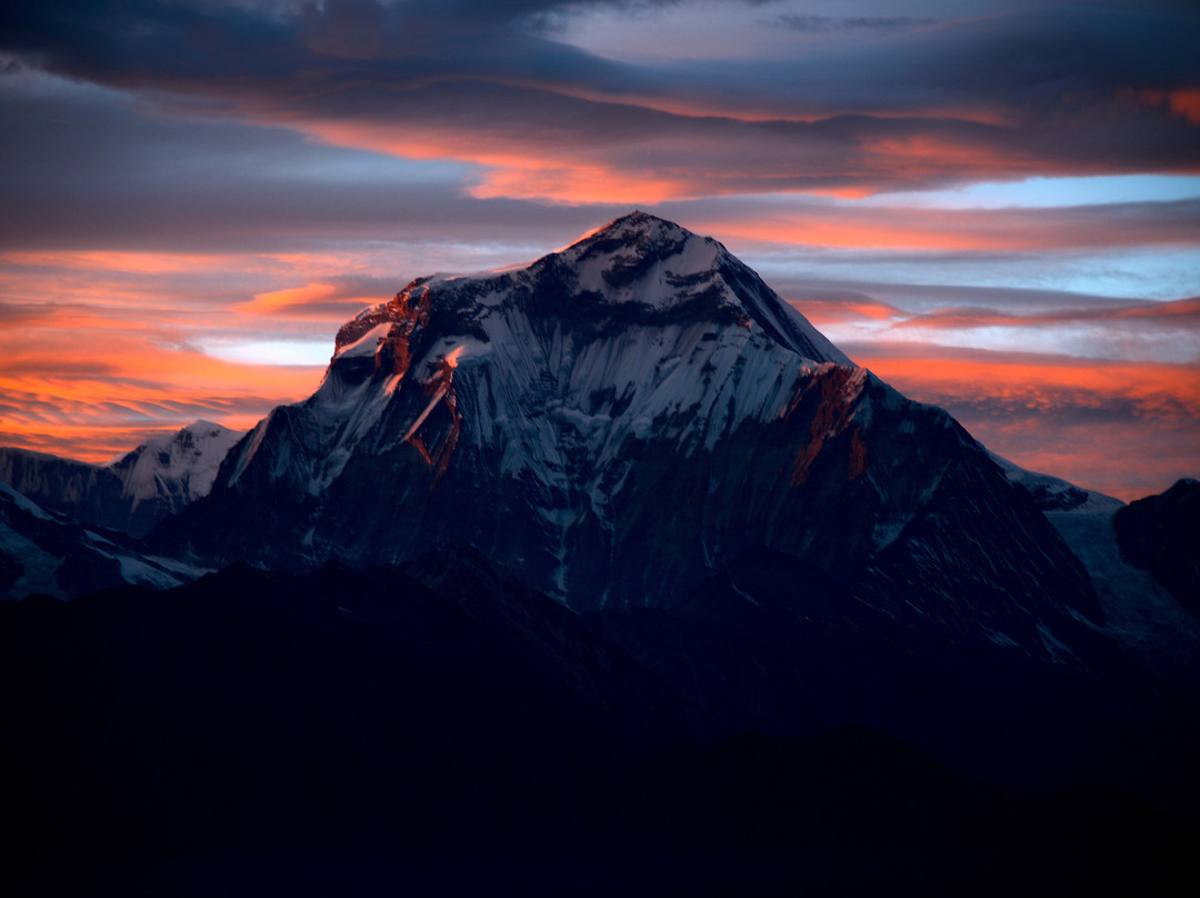 Real Himalaya Private Day Tour景点图片