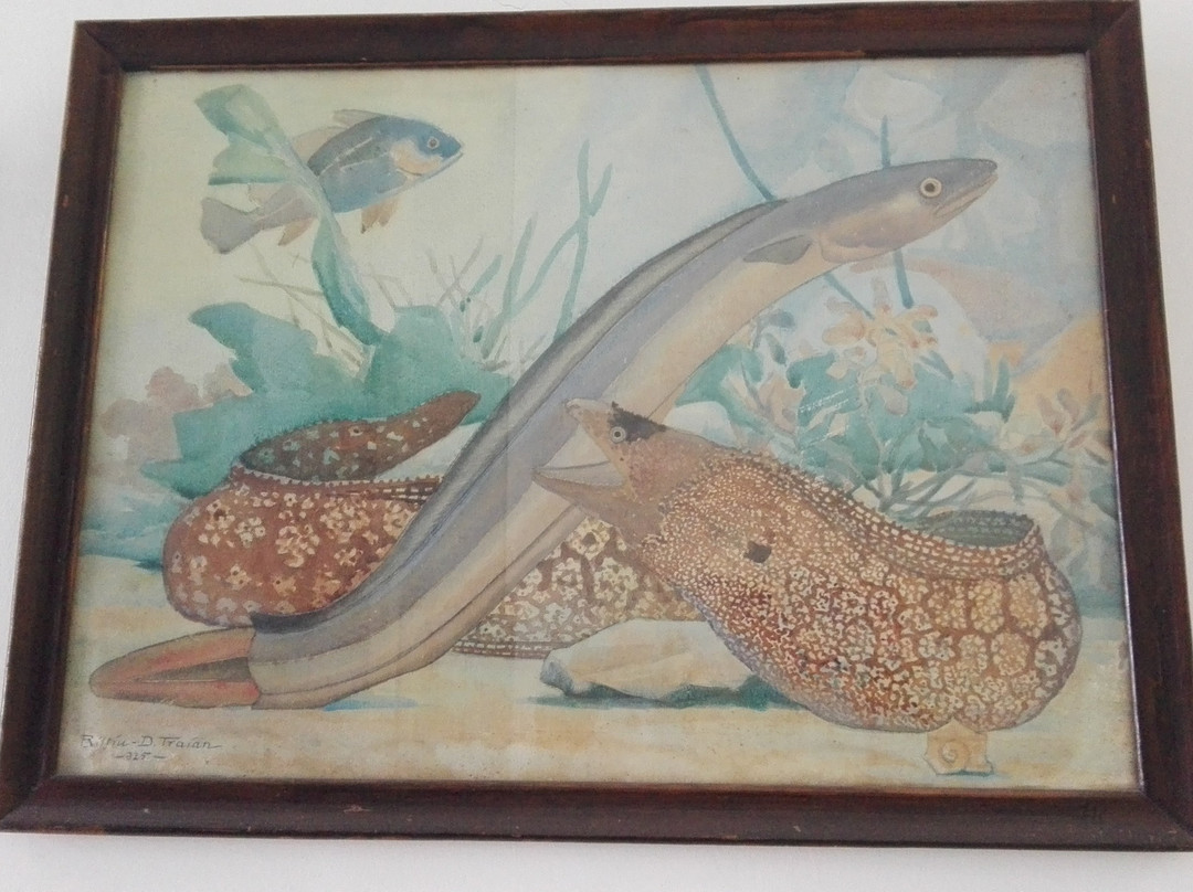 Oceanographic Museum-迦太基必去景点