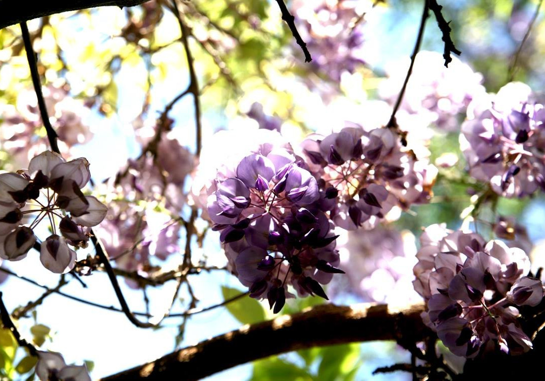 Hotel Emblemático Casa Casilda主图