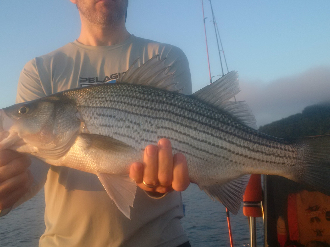 Tommy Cauley: Fishing Guide Service Greers Ferry Lake景点图片
