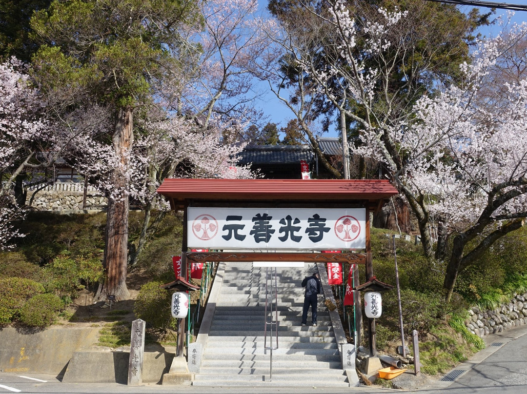 Motozenkouji Temple景点图片