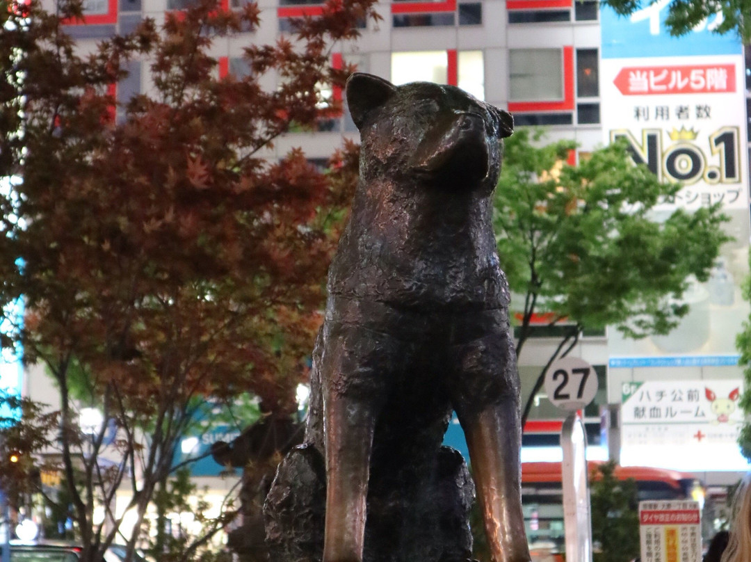 Chuken Hachiko Statue (Tsu City)景点图片