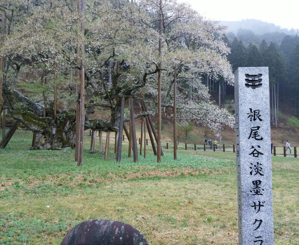 Usuzumi Park景点图片