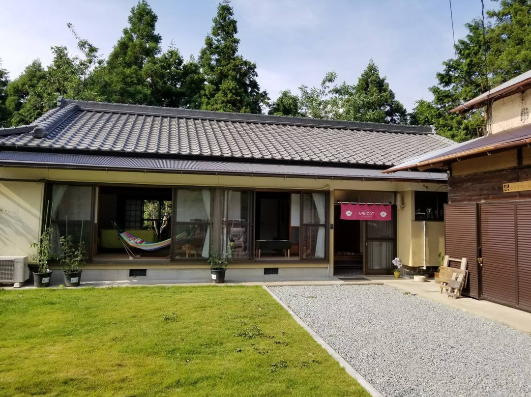 Guest House Apricot