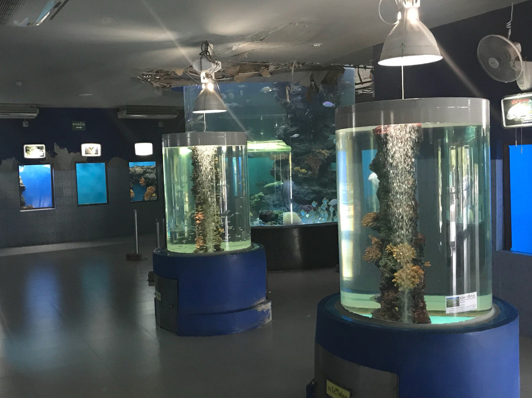 Khlong Khok Kham-龙仔厝必去景点