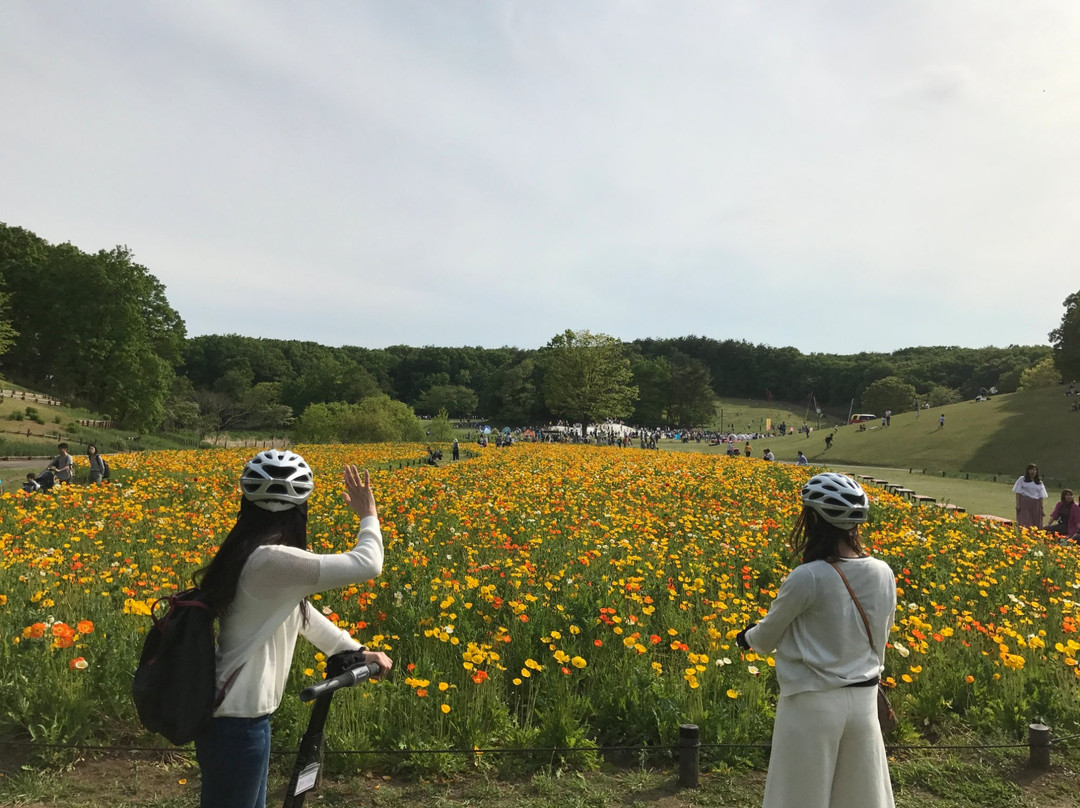 Segway Nature Exprience Tour In Shinrin Park景点图片