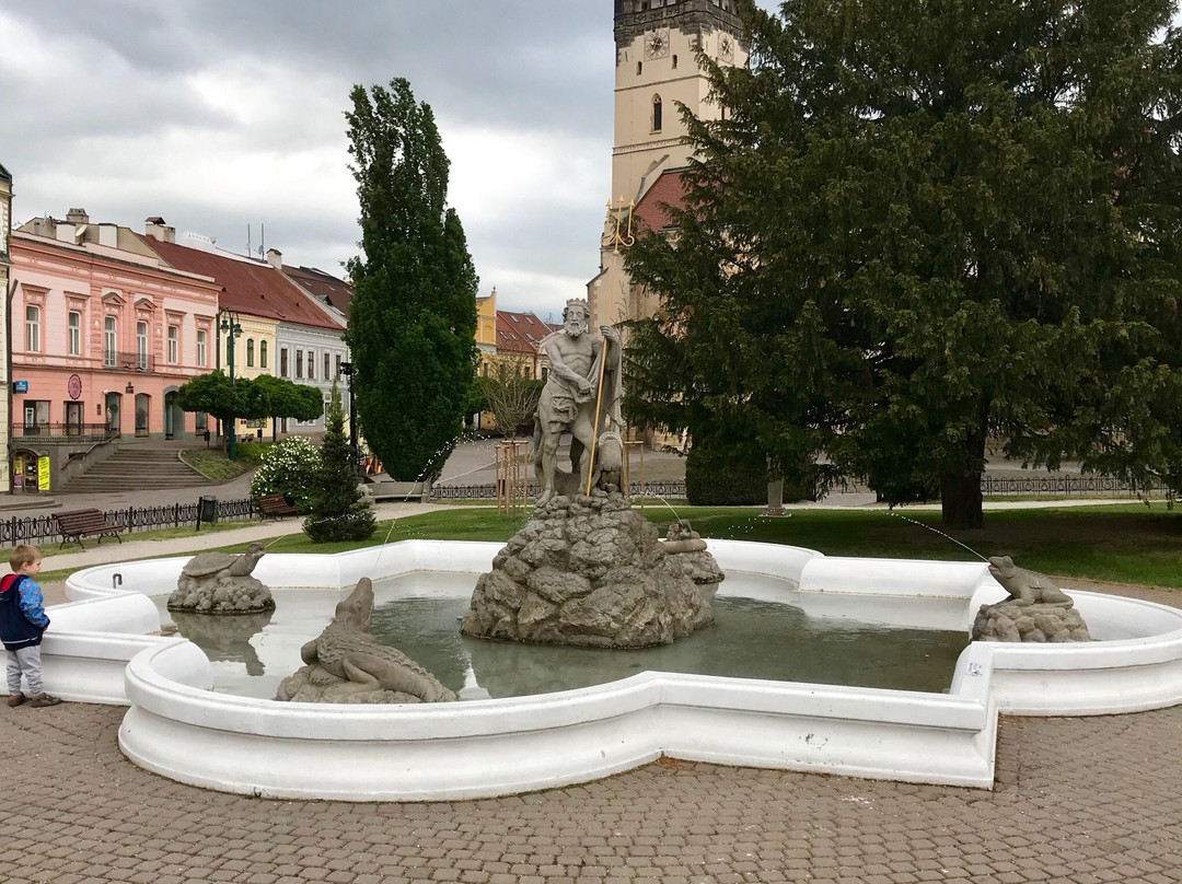 Presov旅游景点-Neptune Fountain