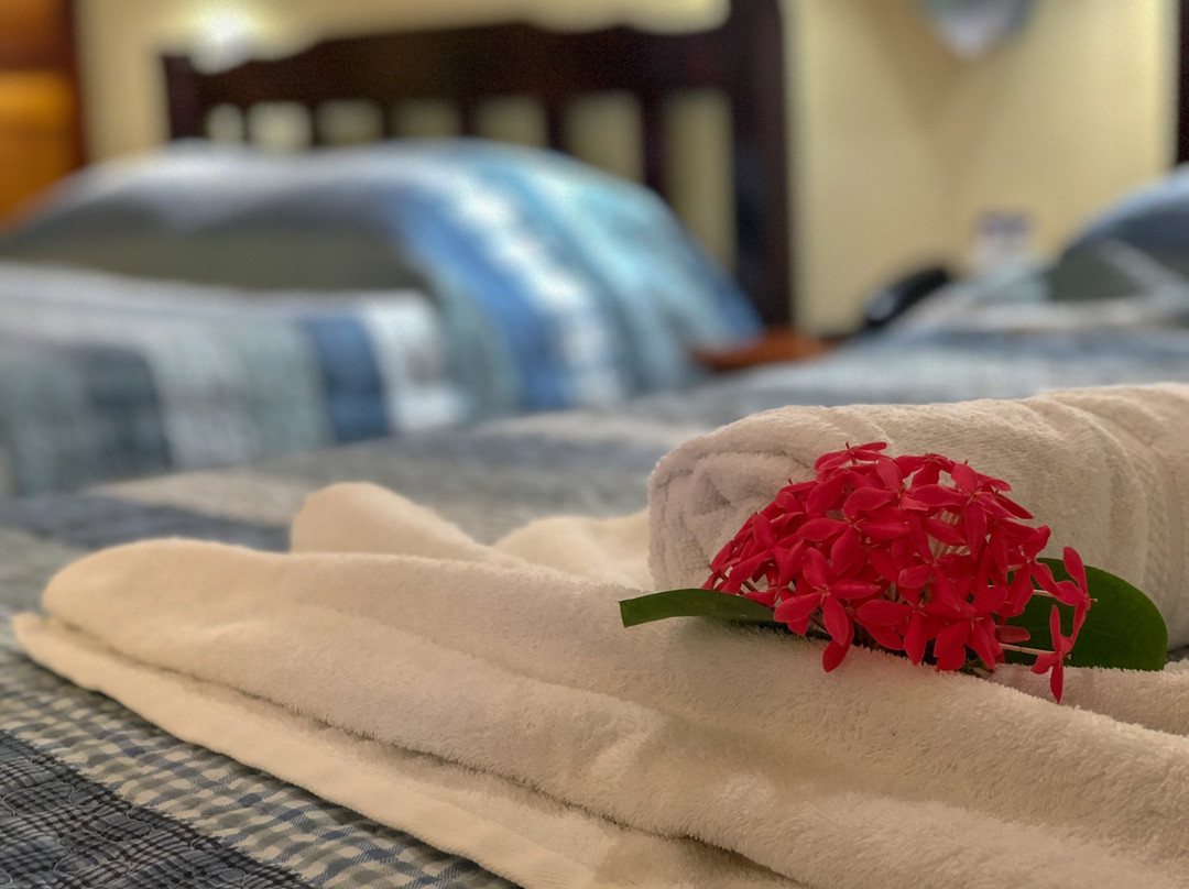 Hotel Isolina Beach主图