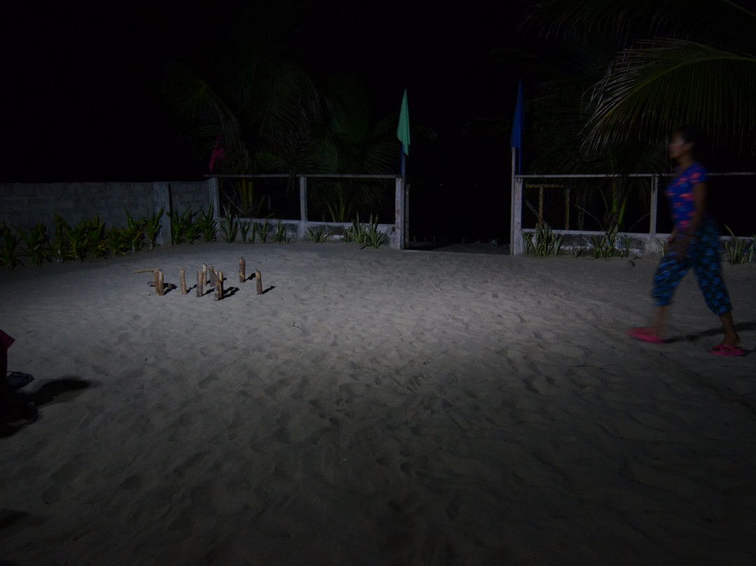 Bucana Beachfront Guesthouse主图