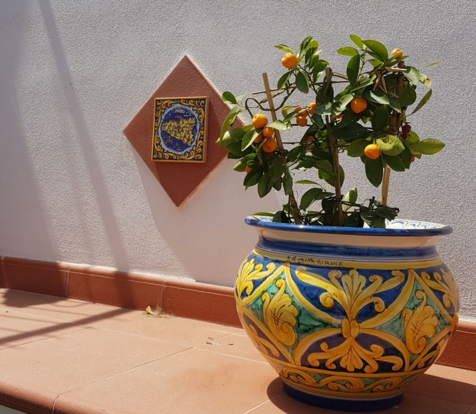 B&B Sicily in Love主图