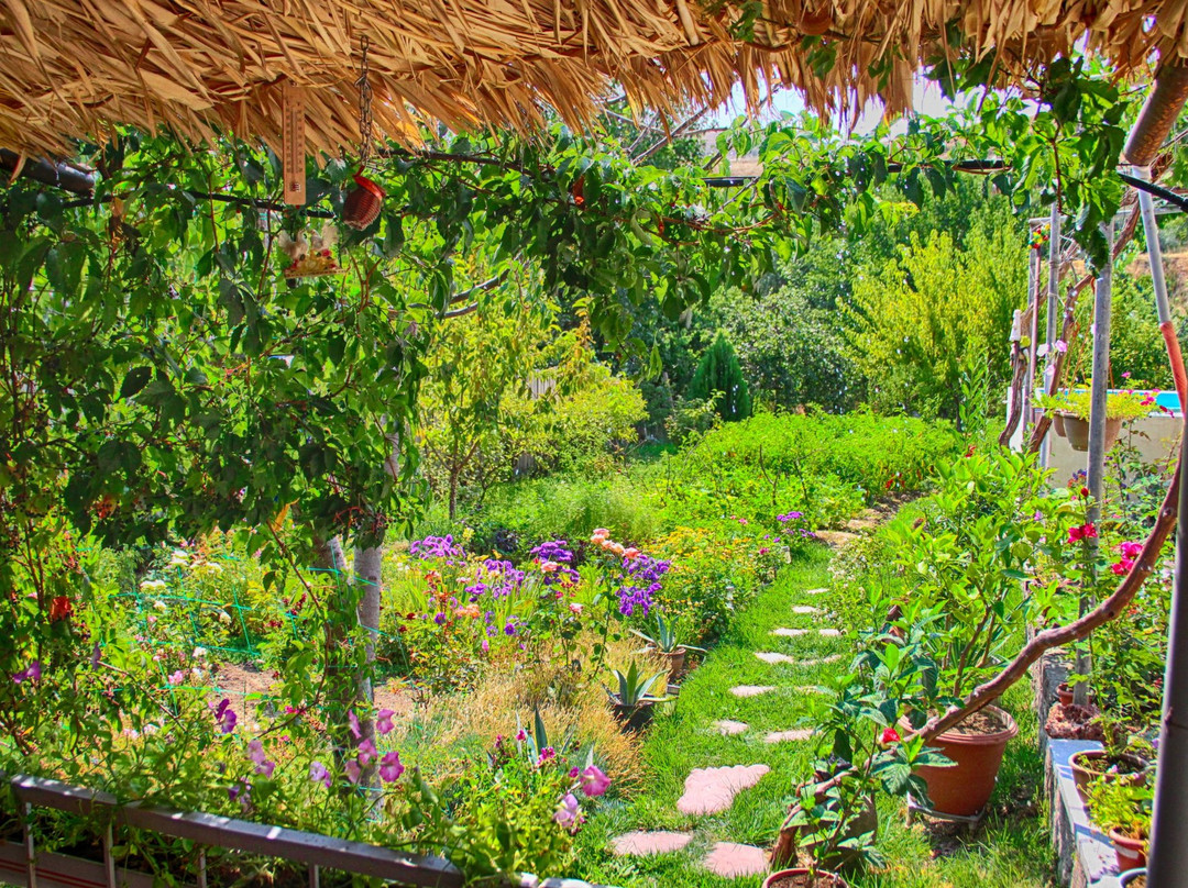 Ashot & Gohar B&B主图