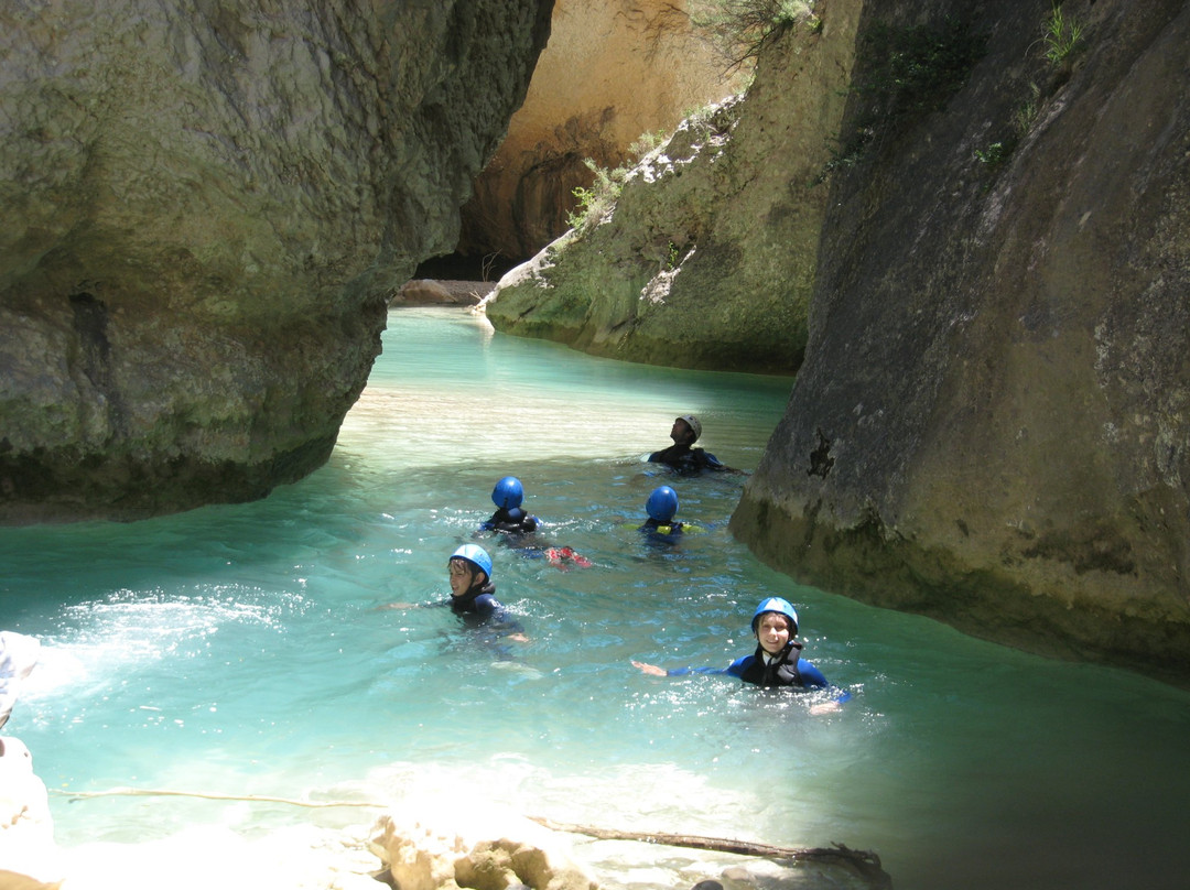 Puente l'Albarda主图
