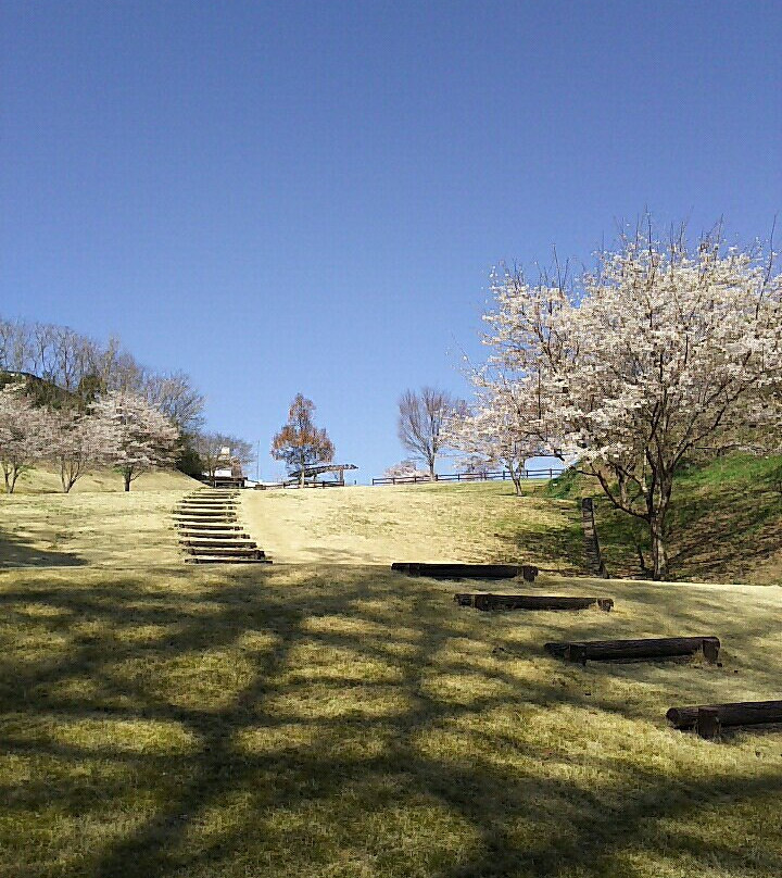 Shimizugawa Park景点图片