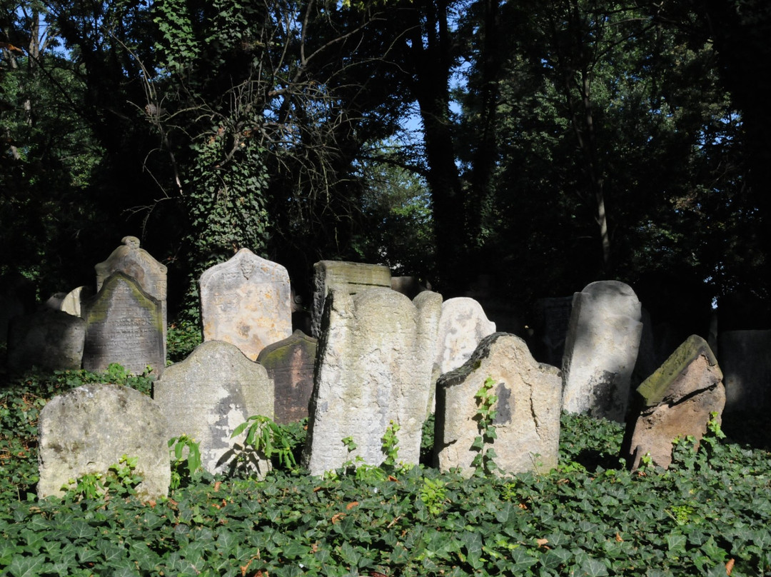 Jewish Cemetery in Kolín景点图片