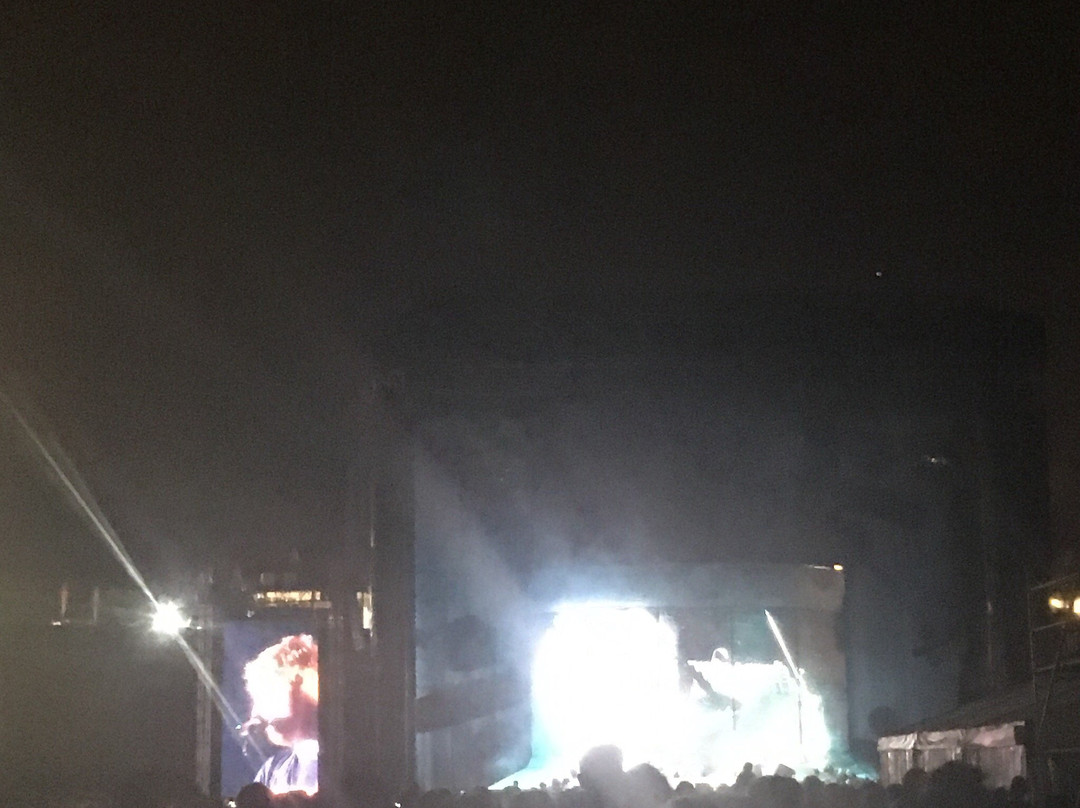 Mt Smart Stadium Auckland New Zealand-奥克兰中心地区必去景点