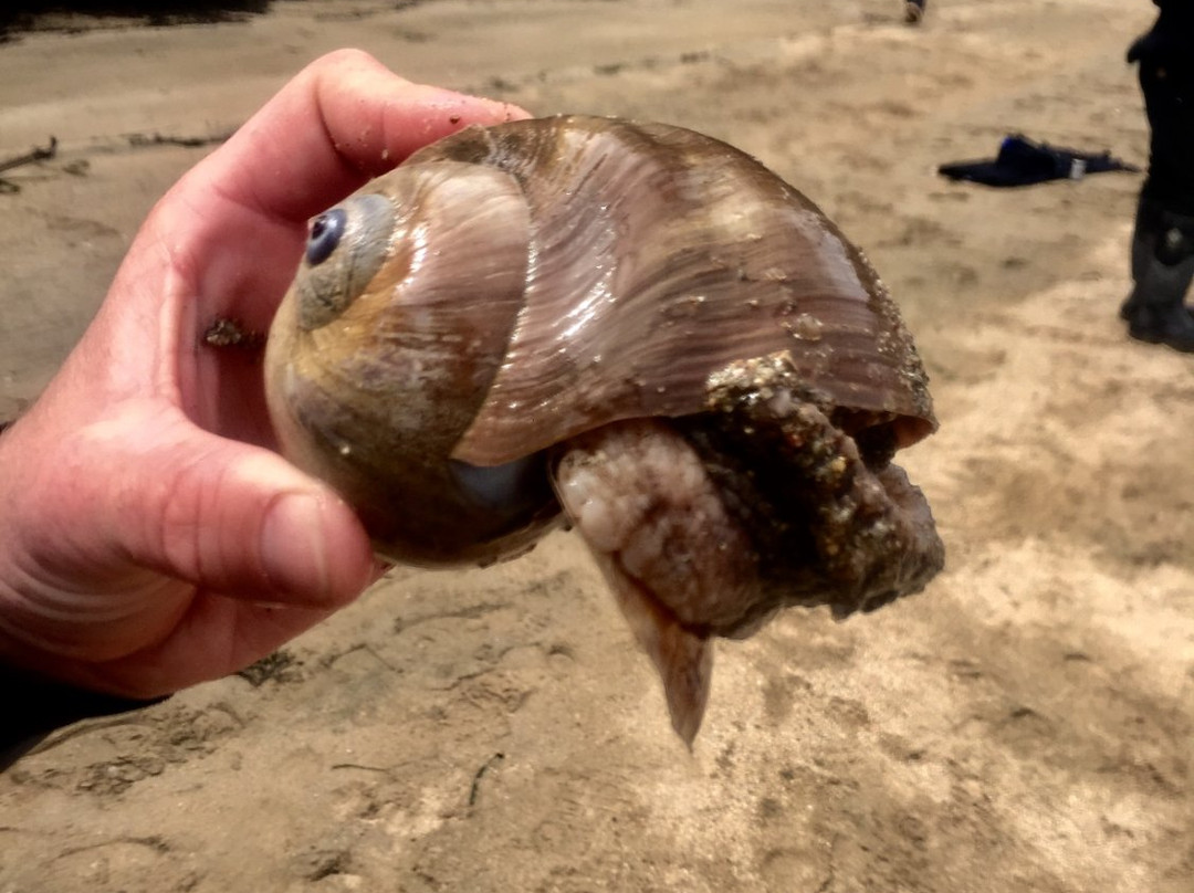 Point Reyes Outdoors-Point Reyes Station必去景点