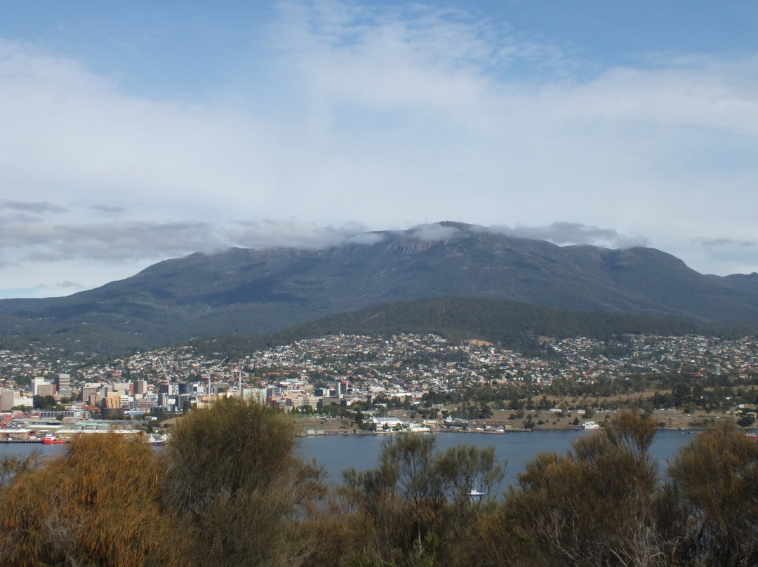 Rosny Hill Lookout景点图片