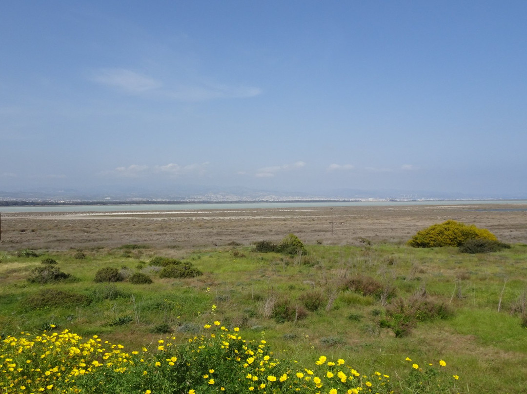 Akrotiri Salt Lake-Akrotiri必去景点