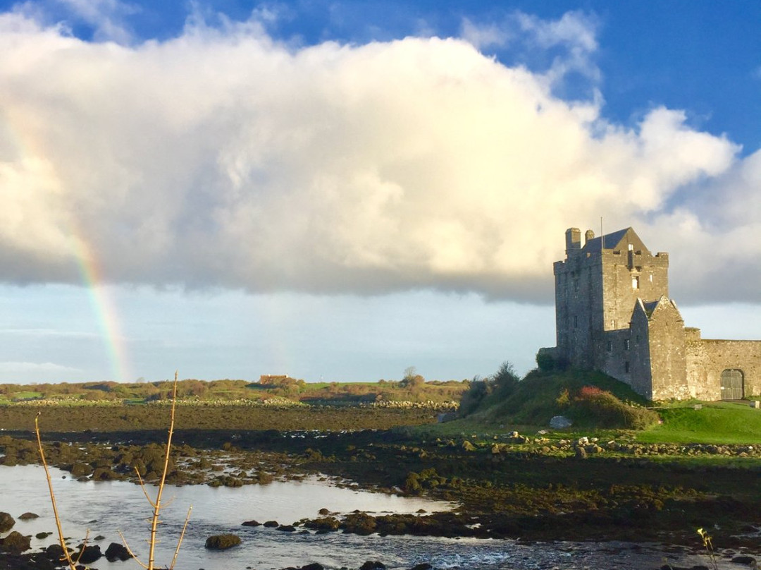 Dungaire Castle景点图片