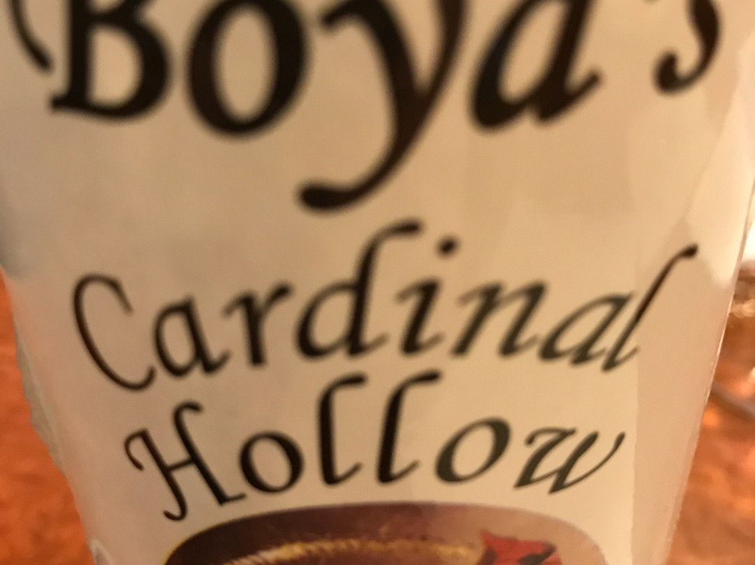 Boyd's Cardinal Hollow Winery-兰斯代尔必去景点
