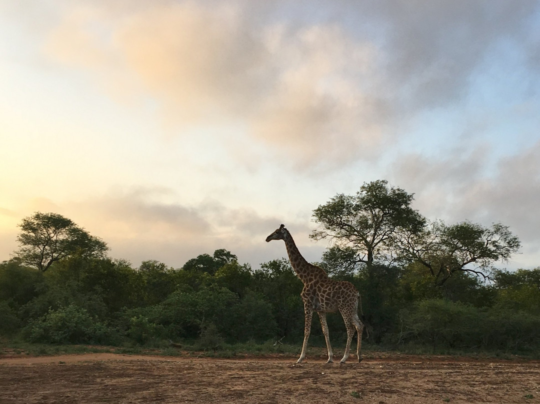 荆棘丛游戏山林小屋主图