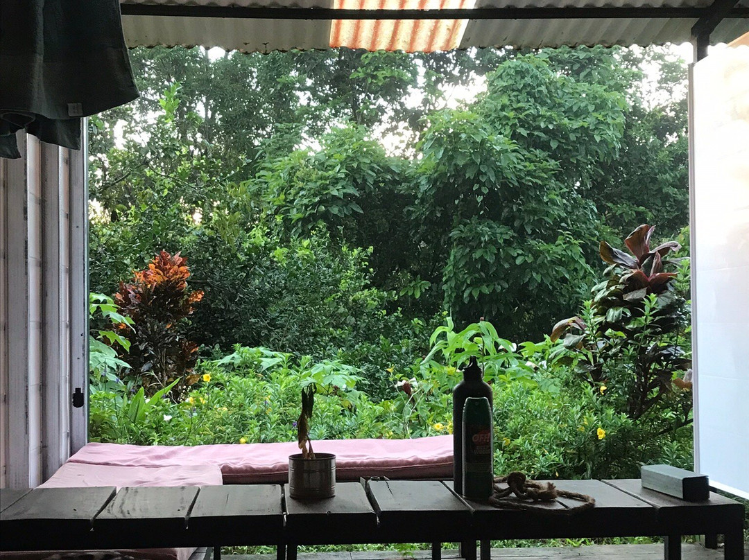 Bolita Rainforest Hostel