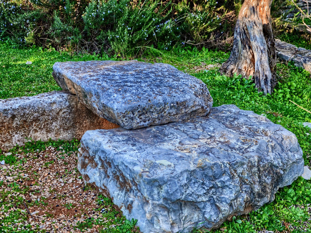 Biblical Garden Stomorija景点图片