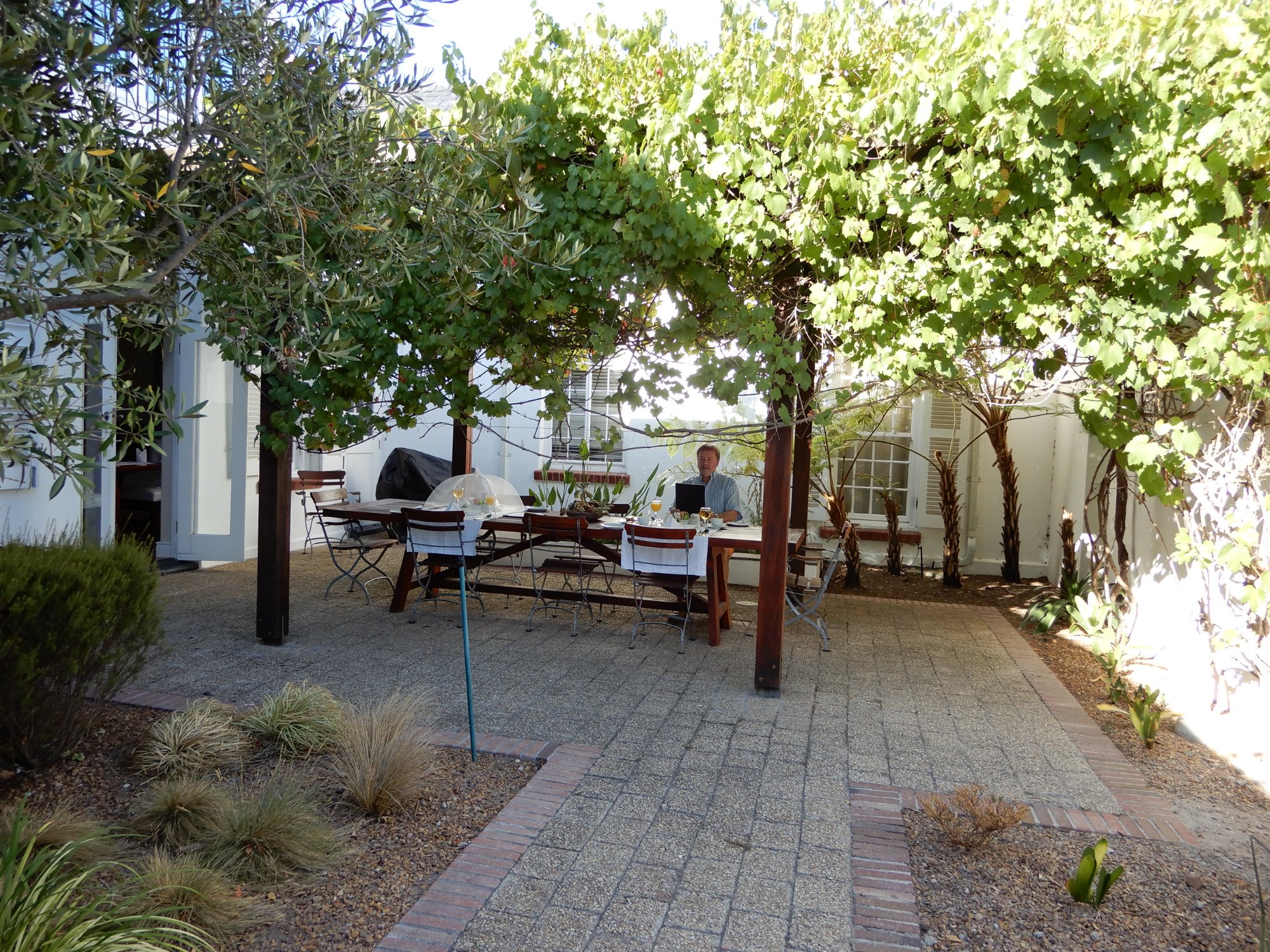 野蘑菇精品宾馆-餐饮