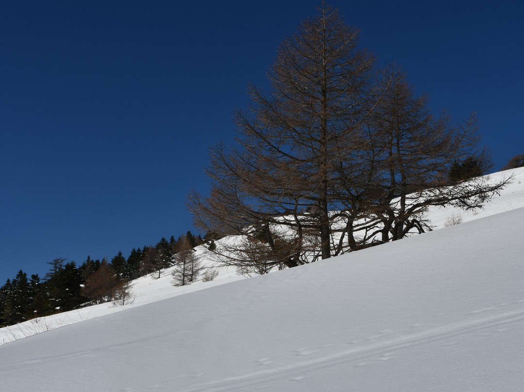 Ike no Taira Shitsugen-东御市必去景点