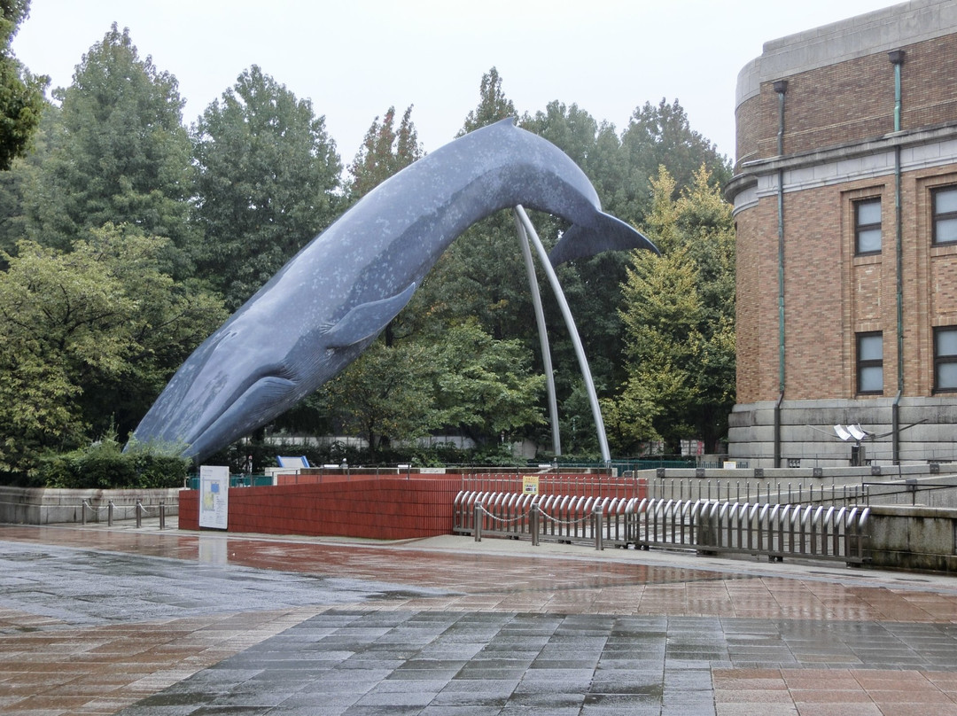 Blue Whale Full Size Model景点图片