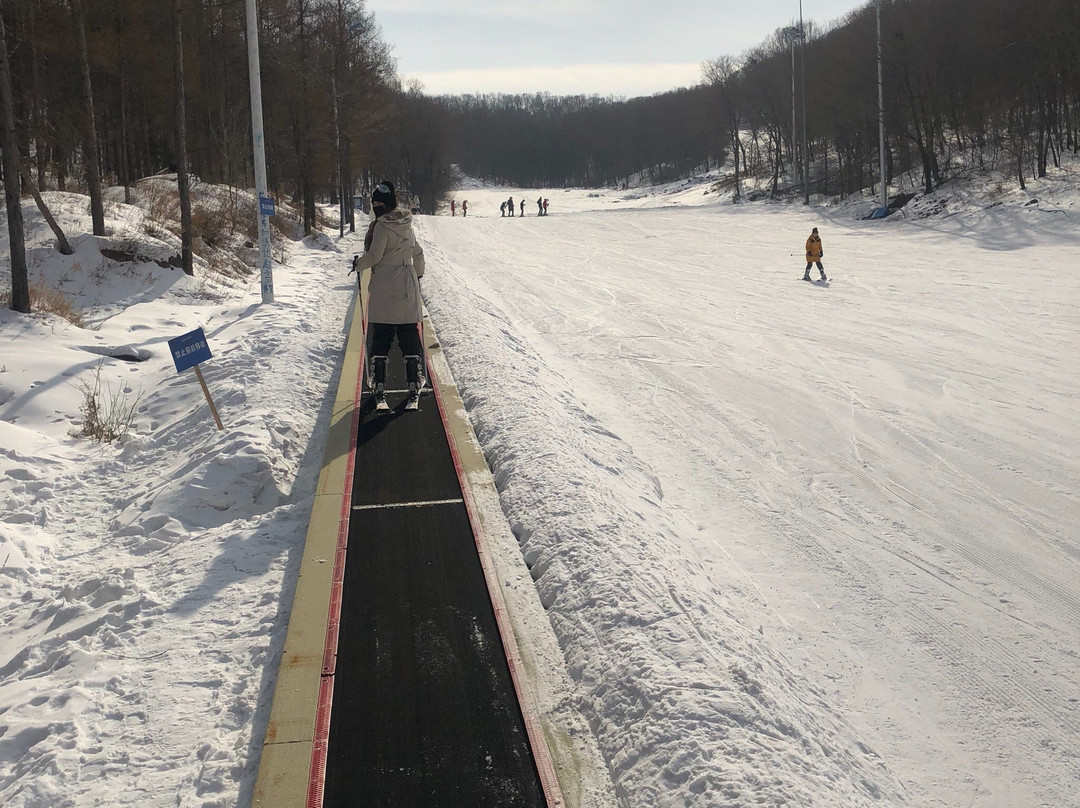 莲花山滑雪场-长春市必去景点