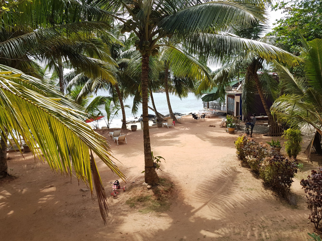 Coconut Palm Guesthouse主图