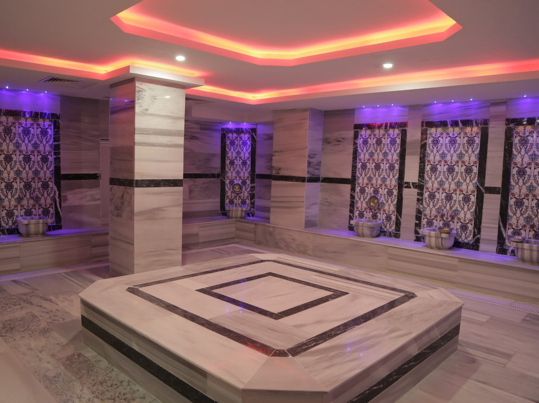 Buyuk Velic Hotel & Spa Merkezi主图