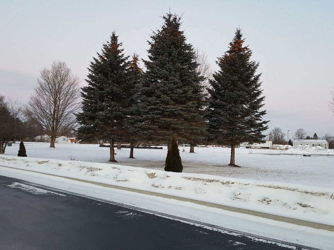 Hampton Inn Rome主图