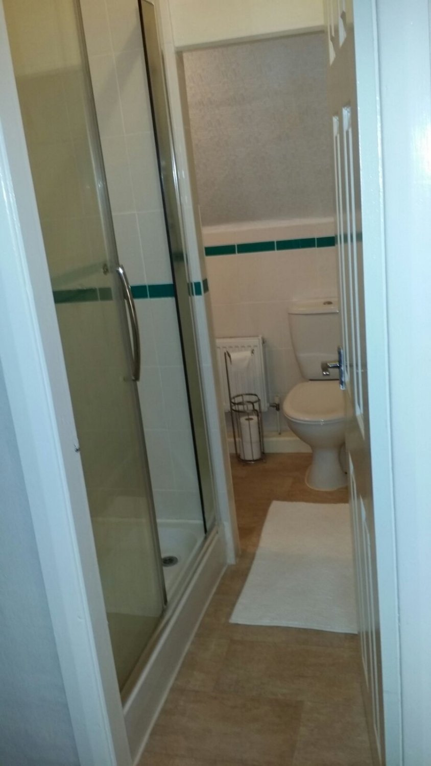 Carleton Grange Bed & Breakfast-浴室