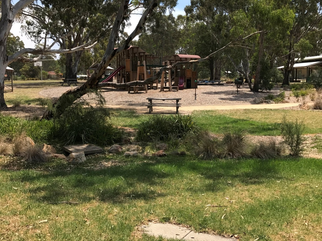 Newry旅游景点-Apex Park