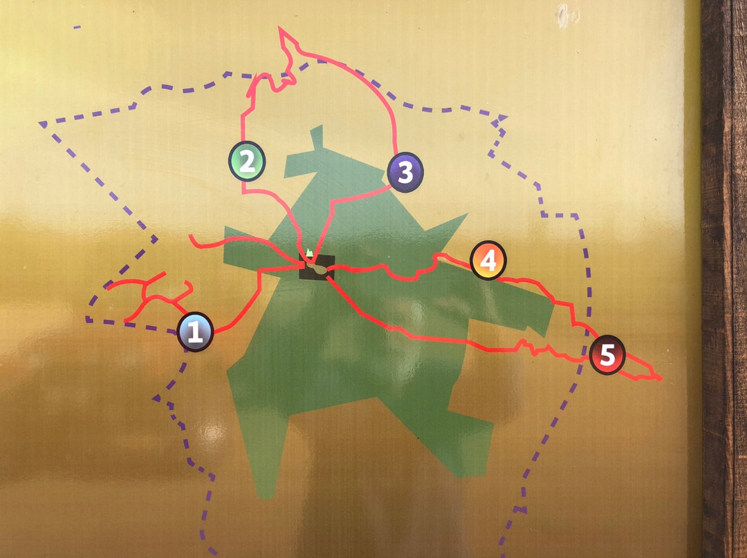 Sierra de la Laguna Mountains-洛斯卡布斯必去景点