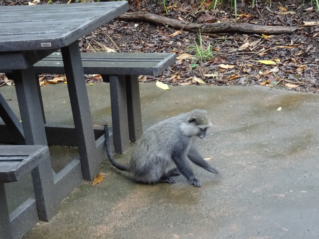 Hluhluwe Umfolozi Hilltop Camp主图