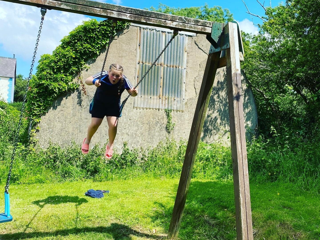 Dyfed Shire Horse Farm & Campsite