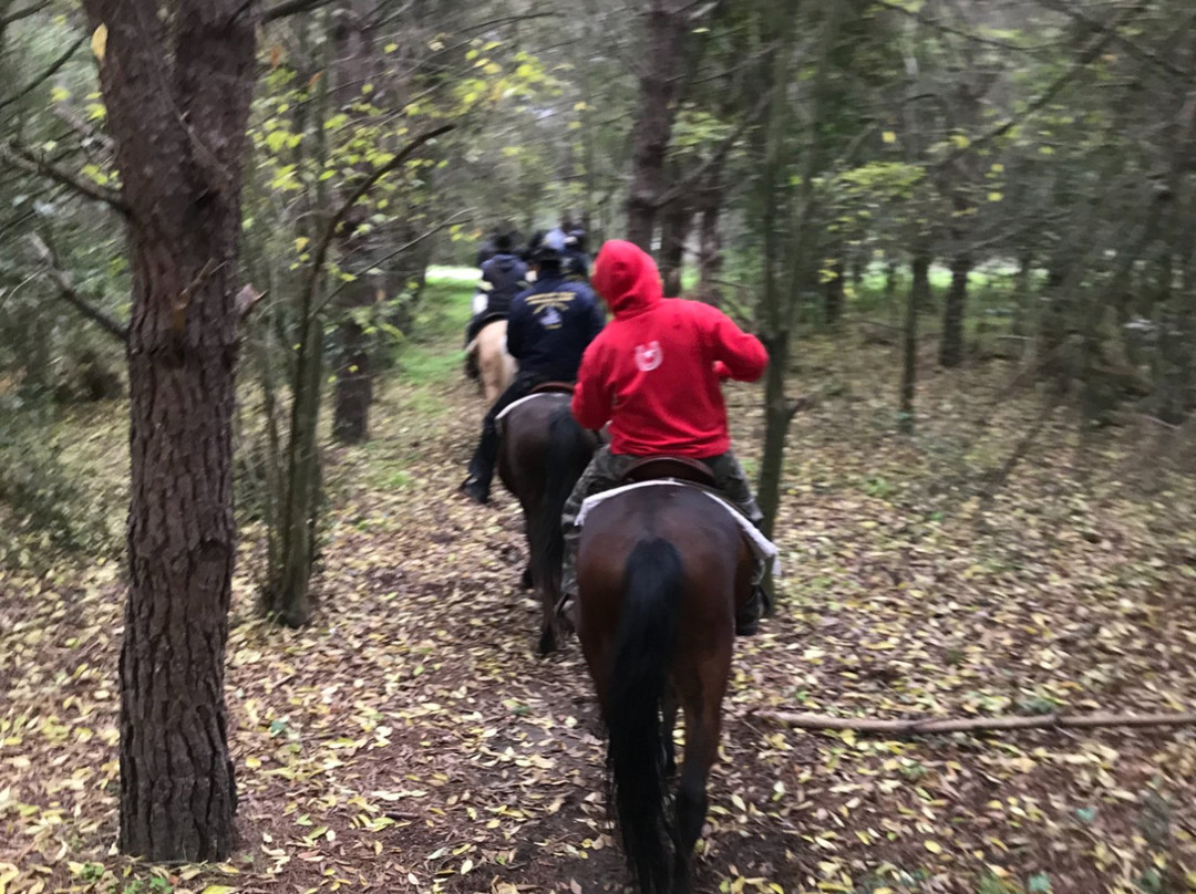 Asd Wild Ranch-罗马必去景点