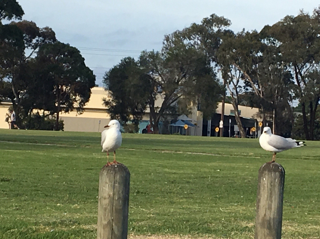 Frederick Watcher Reserve-Keysborough必去景点