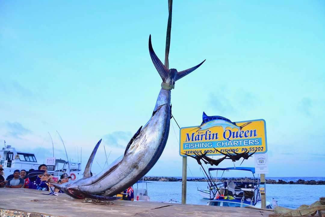 Marlin Queen Fishing Charters景点图片